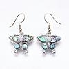 Abalone Shell/Paua Shell Dangle Earrings EJEW-F147-A04-1