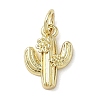 Brass Pendants KK-L248-13G-1