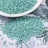 MIYUKI Delica Beads SEED-MY11-DB1576-1