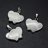 Shell Pendants SSHEL-E564-27P-1