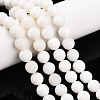 Natural White Shell Beads Strands G-T141-21-2