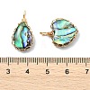 Copper Wire Wrapped Natural Paua Shell Pendants PALLOY-JF05711-3
