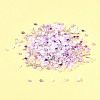 2 Sets Glass Seed Beads DIY-FS0008-27D-9