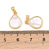 Natural Shell Charms KK-Z140-25G-3