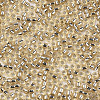 Glass Seed Beads X1-SEED-S042-04A-05-3