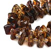 Natural Amber Beads Strands G-F802-A01-01-4