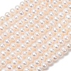 Natural Cultured Freshwater Pearl Beads Strands PA-CBABE82-15F-2