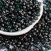 Glass Seed Beads SEED-A032-06Q-1