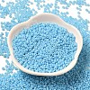Baking Paint Glass Seed Beads SEED-P006-03A-26-2
