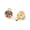 Brass Glass Charms KK-C097-08G-03-2