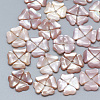 Pink Shell Beads SSHEL-S260-086-1