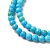 Dyed Natural Magnesite Beads Strands G-Q181-B01-01-4