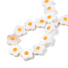 Natural Freshwater Shell Beads Strands SHEL-N003-31C-01-4