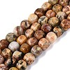 Natural Crazy Agate Beads Strands G-Q608-08A-05-2