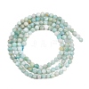 Natural Amazonite Bead Strands G-P279-42-3mm-8