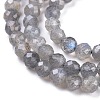 Natural Rainbow Moonstone Beads Strands G-R475-025C-3