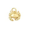 Brass Charms KK-I364-06G-02-1