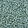 MIYUKI Delica Beads SEED-J020-DB2313-3