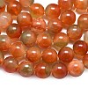 Natural Malaysia Jade Beads Strands G-L645-C01-14mm-29-4