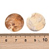 Natural Akoya Shell Disc Links Connector Charms SHEL-B005-04-3