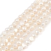 Natural Cultured Freshwater Pearl Beads Strands PEAR-P064-19D-05A-2