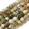 Dyed & Heated Natural Fire Crackle Agate Beads Strands G-P539-C01-03-1