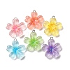 Transparent Resin Pendants RESI-A046-05B-2