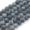 Natural Kambaba Jasper Beads Strands G-P430-02-D-2