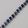 Natural Lapis Lazuli Beads Strands G-WH0021-59D-2