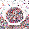 Transparent Inside Colours Glass Seed Beads SEED-T007-13M-1