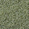 MIYUKI Round Rocailles Beads SEED-JP0008-RR1135-3