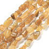 Natural Gemstone Beads Strands G-P497-01E-14-1