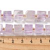 Natural Amethyst Beads Strands G-G053-B13-01C-5