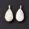 Natural Howlite Pendants G-I323-04LG-02-4