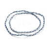 Electroplated Glass Beads Strands EGLA-H100-FR01-3