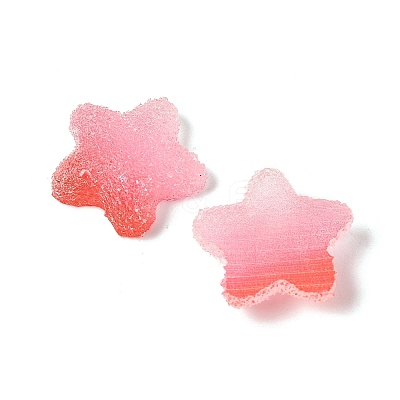 Imitation Candy Food Style Resin Cabochons RESI-R461-02J-1