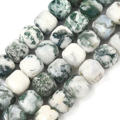 Natural Tree Agate Beads Strands G-C267-A18-1