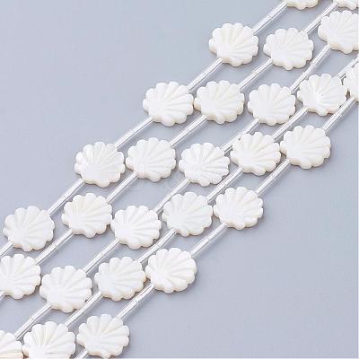 Natural White Shell Beads SSHEL-Q298-06-1