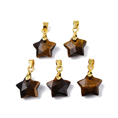 Natural Tiger Eye Charms G-N326-142-01-1