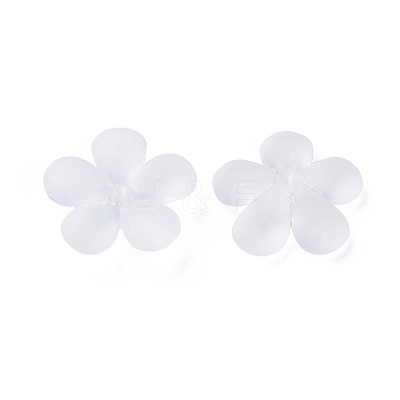 Transparent Acrylic Beads MACR-S373-116-D01-1