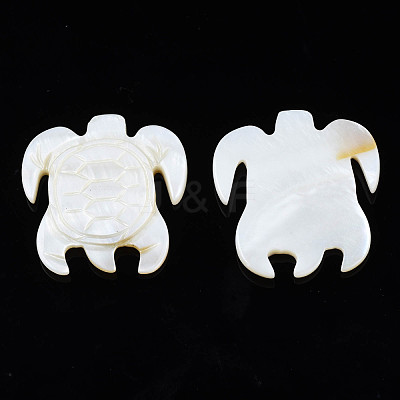 Natural Freshwater Shell Cabochons SHEL-S276-163-1