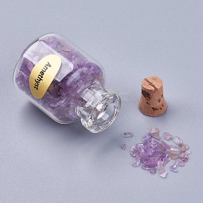 Bottles of Natural Gemstone Chip Beads G-S049-2-B-1