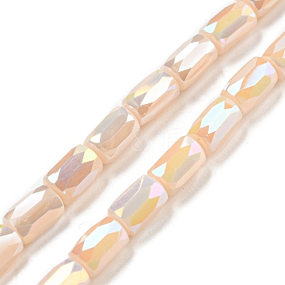 Glass Beads Strands EGLA-P052-03C-05-1