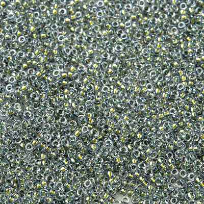 MIYUKI Round Rocailles Beads X-SEED-G009-RR3201-1