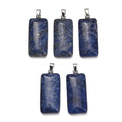 Natural Sodalite Pendants GG-CBAA0EE-01P-13-1