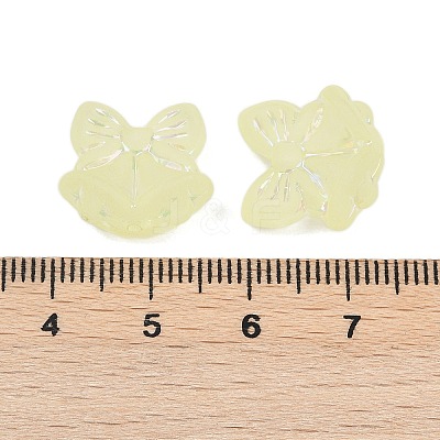 Frosted Transparent Acrylic Beads OACR-P029-18B-03-1