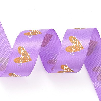 Polyester Ribbons SRIB-H038-01D-1