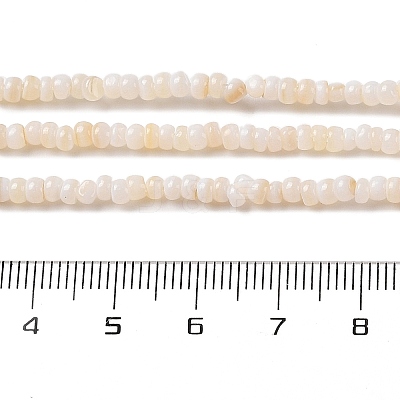 Natural Freshwater Shell Beads Strands SHEL-P017-01B-02-1