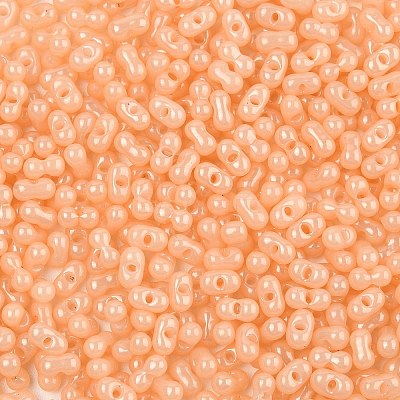 Baking Paint Glass Seed Beads SEED-L011-09A-12-1