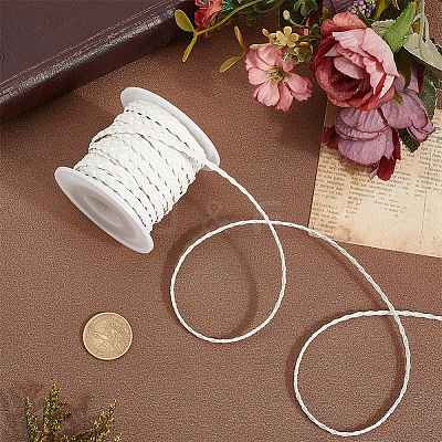 10M Flat Braided Imitation Leather Cords LC-CL0001-04D-1